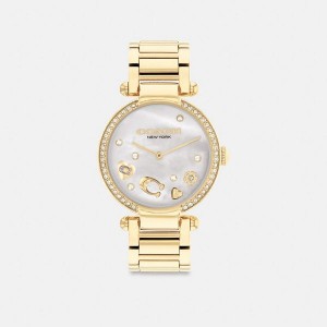 Dámské Hodinky Coach Cary 34 Mm Zlaté | 5437269-CZ