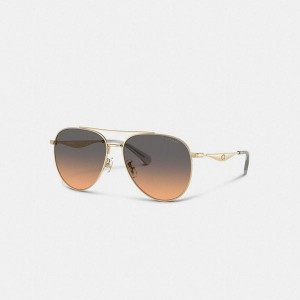 Dámské Sluneční Brýle Coach C Hardware Metal Pilot Růžové | 9236054-CZ