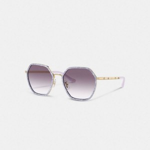 Dámské Sluneční Brýle Coach Embellished Narrow Metal Hexagon Fialové | 4901365-CZ