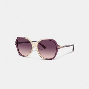 Dámské Sluneční Brýle Coach Wrap Around Hangtag Oversized Geometric Round Fialové Béžový | 9851263-CZ