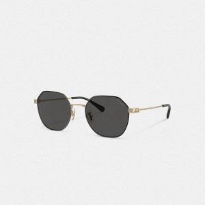 Pánské Sluneční Brýle Coach Hinged Geometric Round Zlaté Černé | 6521394-CZ