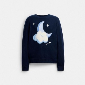 Pánské Svetr Coach Graphic Intarsia Crewneck Tmavě Blankyt Blankyt | 0523716-CZ