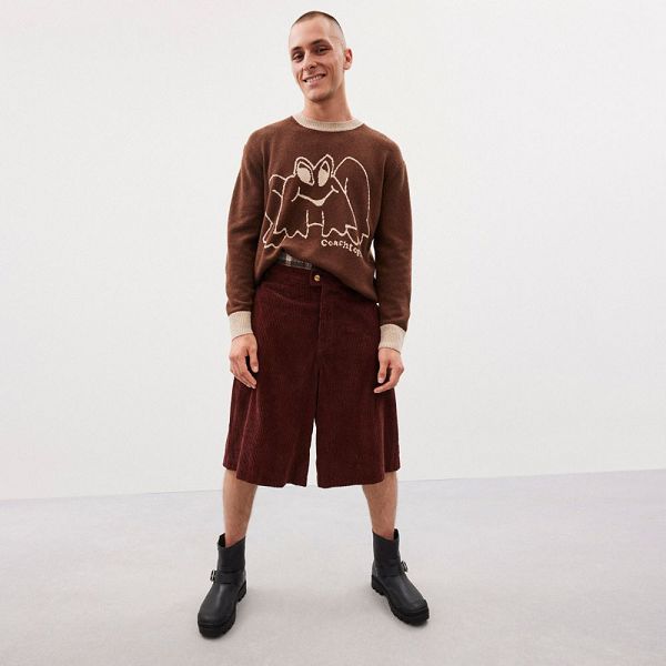 Coachtopia Svetr Coach Crewneck With Intarsia Star Frog Graphic Hnědé | 7395281-CZ
