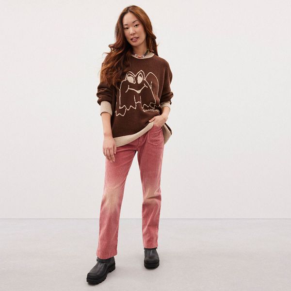 Coachtopia Svetr Coach Crewneck With Intarsia Star Frog Graphic Hnědé | 7395281-CZ