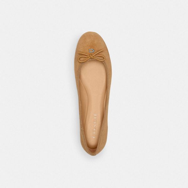 Dámské Flat Shoes Coach Abigail Hnědé | 9074358-CZ