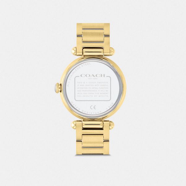 Dámské Hodinky Coach Cary 34 Mm Zlaté | 4053978-CZ