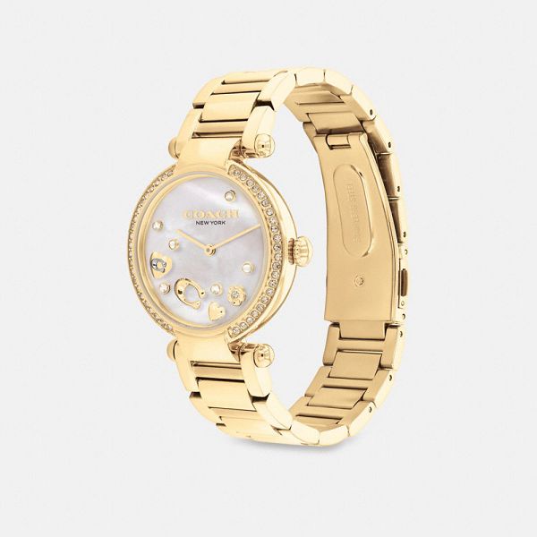 Dámské Hodinky Coach Cary 34 Mm Zlaté | 5437269-CZ