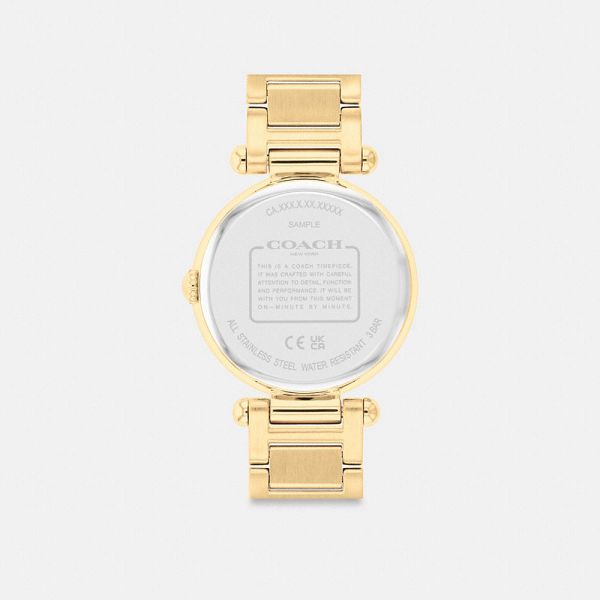 Dámské Hodinky Coach Cary 34 Mm Zlaté | 5437269-CZ