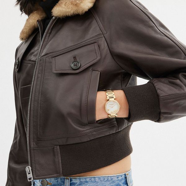 Dámské Hodinky Coach Cary 34 Mm Zlaté | 5437269-CZ