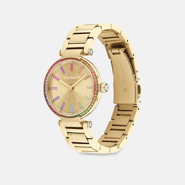 Dámské Hodinky Coach Cary 34 Mm Zlaté | 6174890-CZ