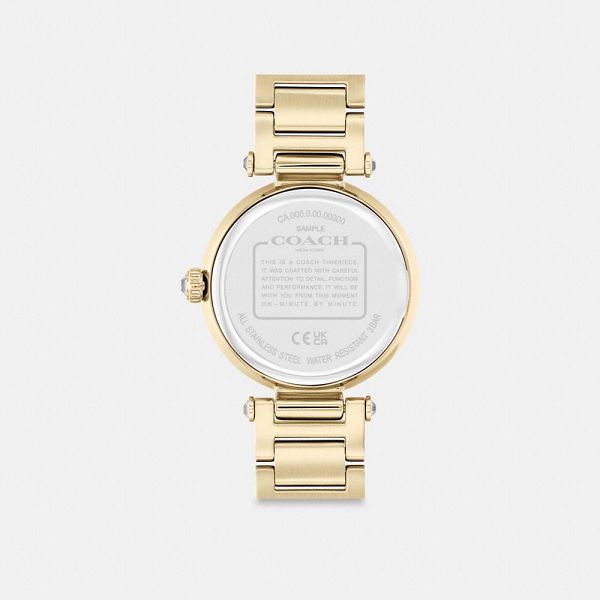 Dámské Hodinky Coach Cary 34 Mm Zlaté | 6174890-CZ