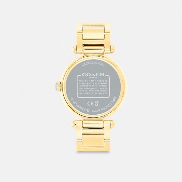 Dámské Hodinky Coach Cary 34 Mm Zlaté | 8962370-CZ