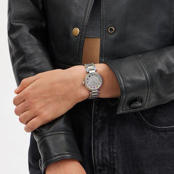 Dámské Hodinky Coach Cary 34 Mm Šedé Šedé | 1685794-CZ