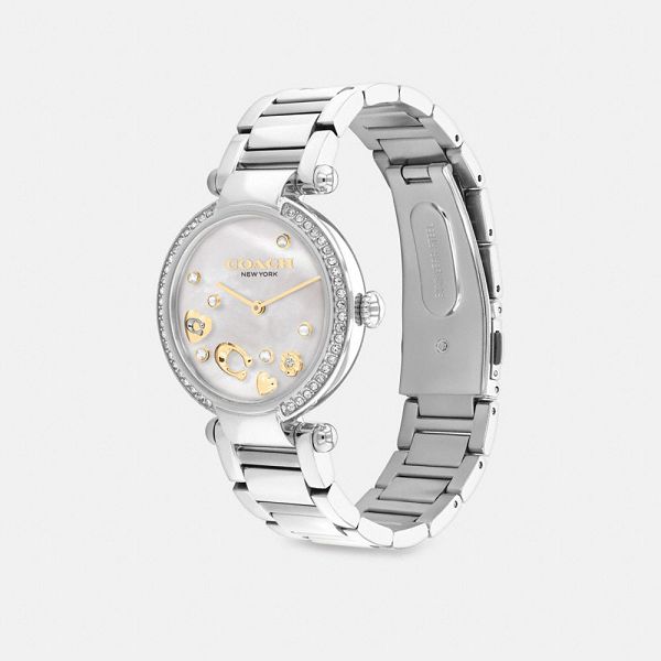 Dámské Hodinky Coach Cary 34 Mm Šedé Šedé | 2467138-CZ