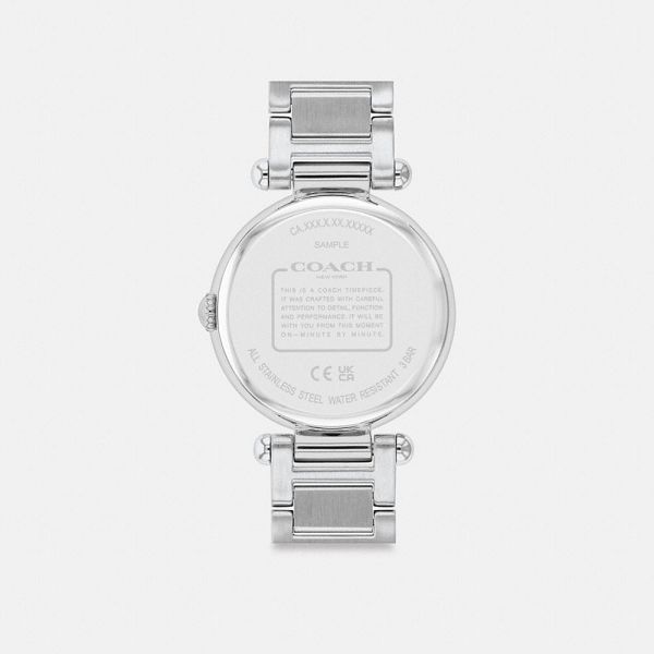 Dámské Hodinky Coach Cary 34 Mm Šedé Šedé | 2467138-CZ