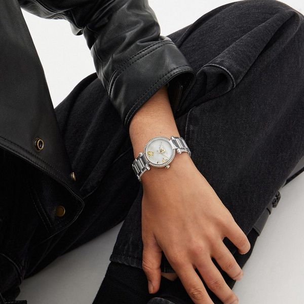 Dámské Hodinky Coach Cary 34 Mm Šedé Šedé | 2467138-CZ