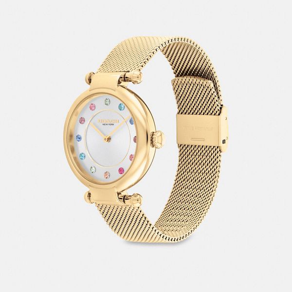 Dámské Hodinky Coach Cary Watch Gift Set 34 Mm Viacfarebný | 8649201-CZ