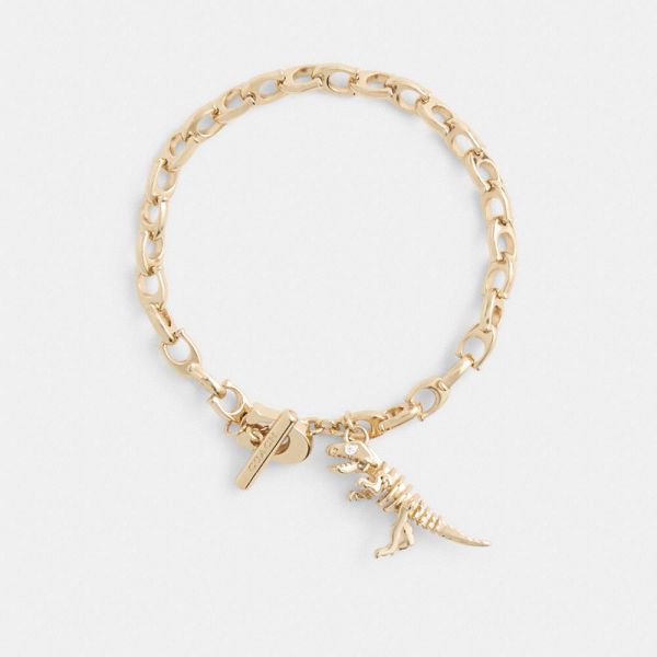 Dámské Náramek Coach Skeletal Rexy Signature Chain Zlaté | 1256048-CZ