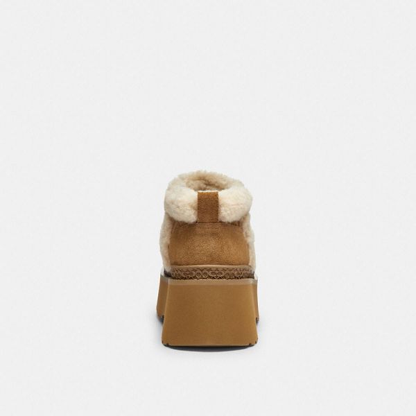 Dámské Nízké Kozačky Coach Christina In Signature Suede Hnědé | 9532687-CZ