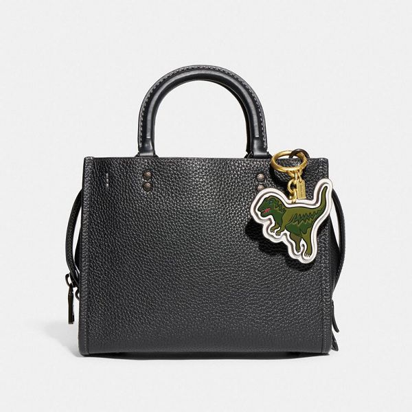 Dámské Příslušenství K Taškám Coach Rexy With Signature Canvas Zelene Zlaté | 5893046-CZ
