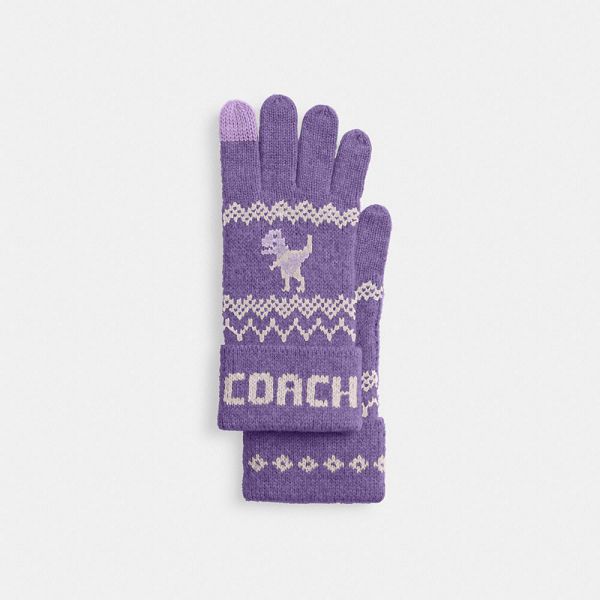 Dámské Rukavice Coach Rexy Fair Isle Print Knit Fialové Viacfarebný | 7061432-CZ