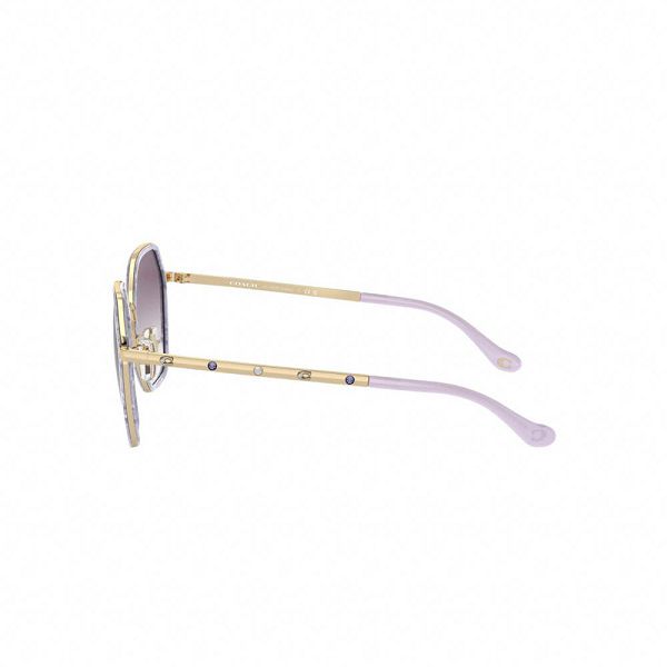 Dámské Sluneční Brýle Coach Embellished Narrow Metal Hexagon Fialové | 4901365-CZ