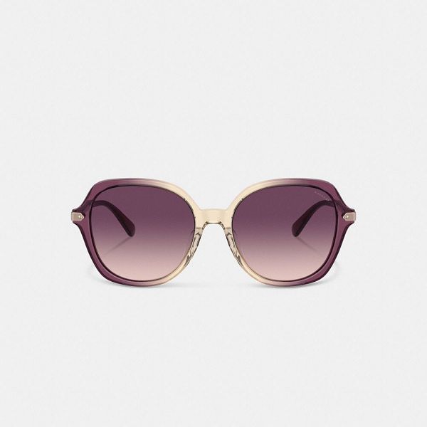 Dámské Sluneční Brýle Coach Wrap Around Hangtag Oversized Geometric Round Fialové Béžový | 9851263-CZ