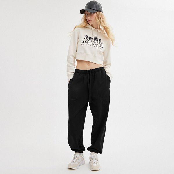 Pánské Kalhoty Jogger Coach Essential Solid Černé | 5481203-CZ