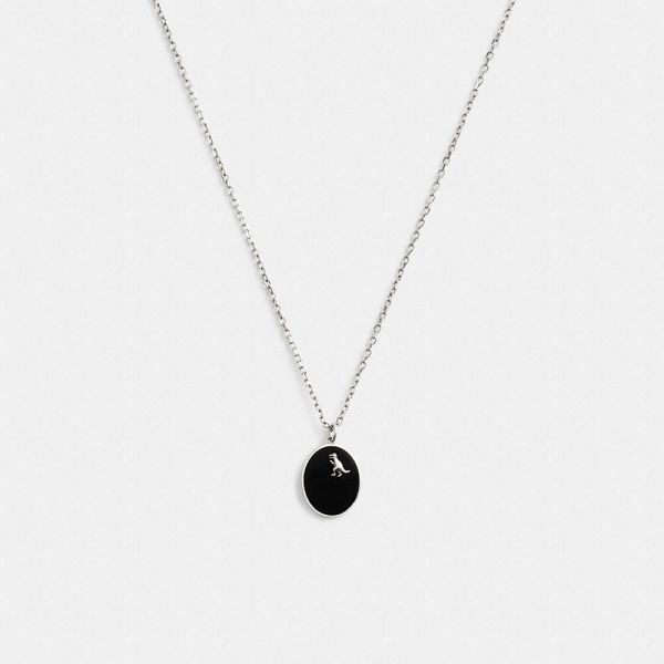 Pánské Náhrdelník Coach Rexy Coin Pendant Stříbrné | 6943071-CZ