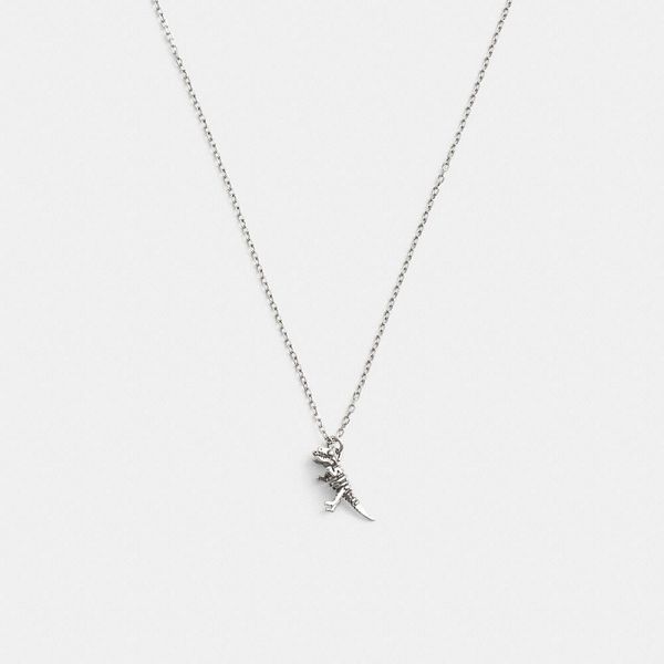 Pánské Náhrdelník Coach Sterling Skeletal Rexy Pendant Stříbrné | 1493568-CZ