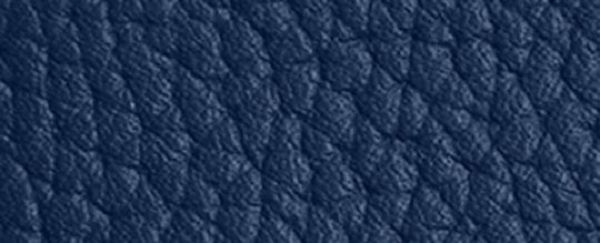 Pánské Pouzdro Na Karty Coach Graphic Blankyt | 0275396-CZ