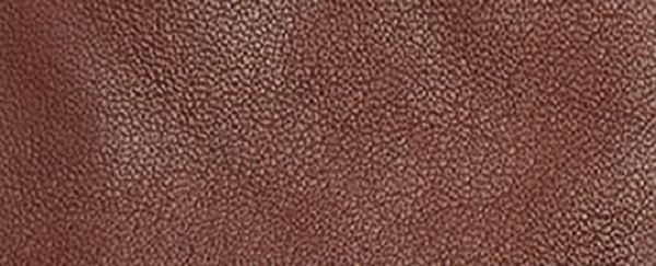 Pánské Rukavice Coach Sculpted Signature Leather Tech Hnědé | 4561938-CZ