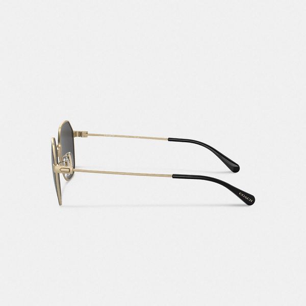 Pánské Sluneční Brýle Coach Hinged Geometric Round Zlaté Černé | 6521394-CZ