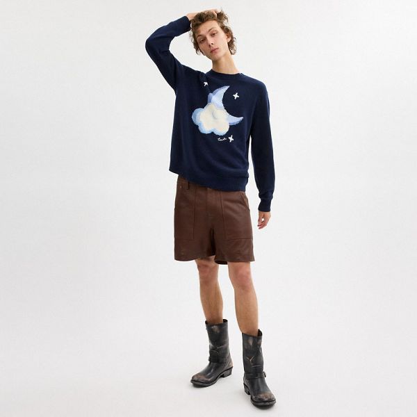 Pánské Svetr Coach Graphic Intarsia Crewneck Tmavě Blankyt Blankyt | 0523716-CZ