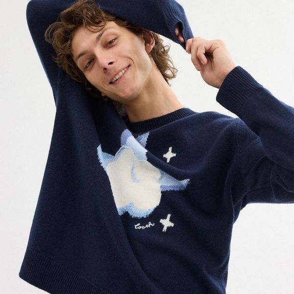Pánské Svetr Coach Graphic Intarsia Crewneck Tmavě Blankyt Blankyt | 0523716-CZ