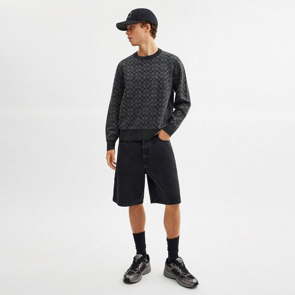 Pánské Svetr Coach Signature Crewneck Šedé | 7289603-CZ