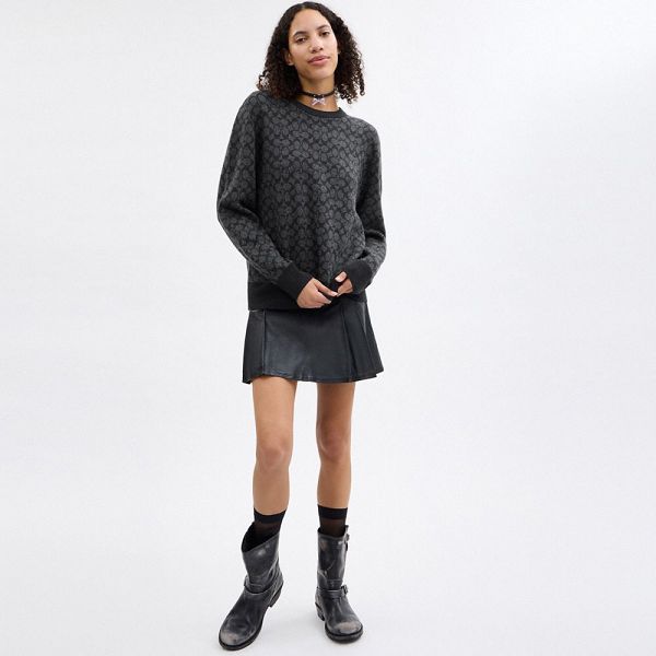 Pánské Svetr Coach Signature Crewneck Šedé | 7289603-CZ